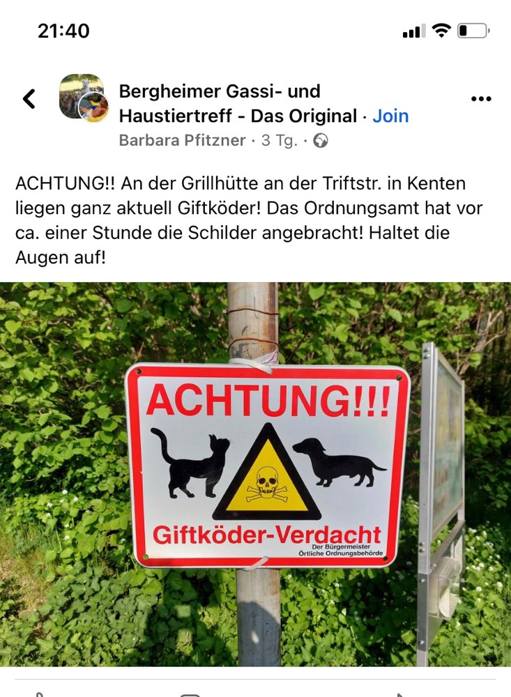 Giftköder-Giftköder-Profilbild