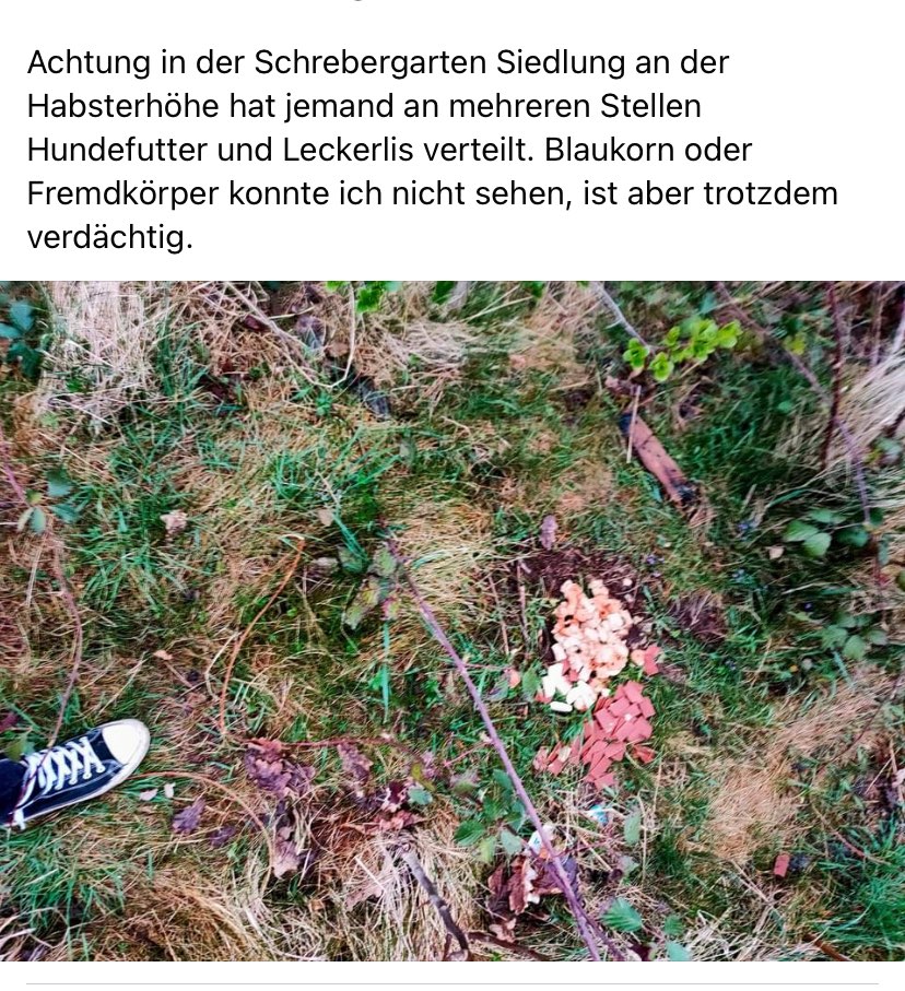 Giftköder-Leckerlies-Profilbild