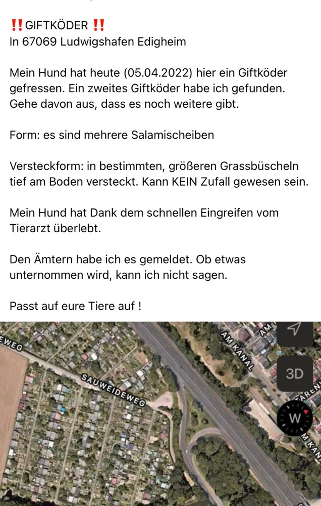 Giftköder-Giftköder-Profilbild