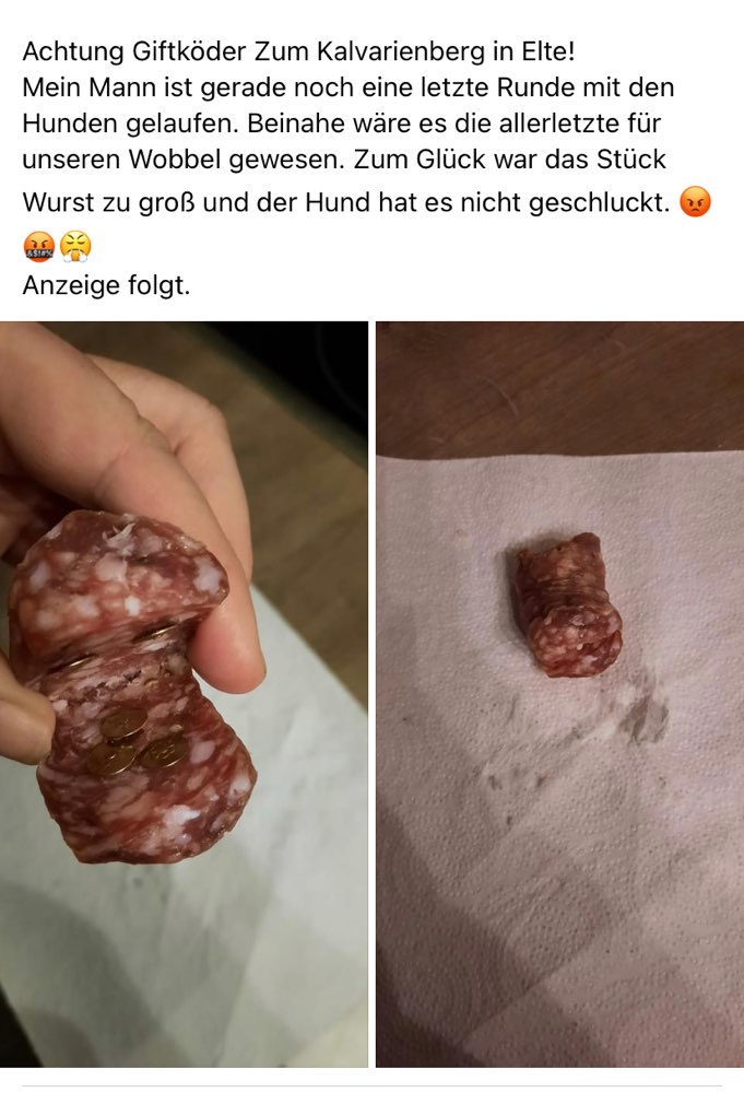 Giftköder-Giftköder-Profilbild