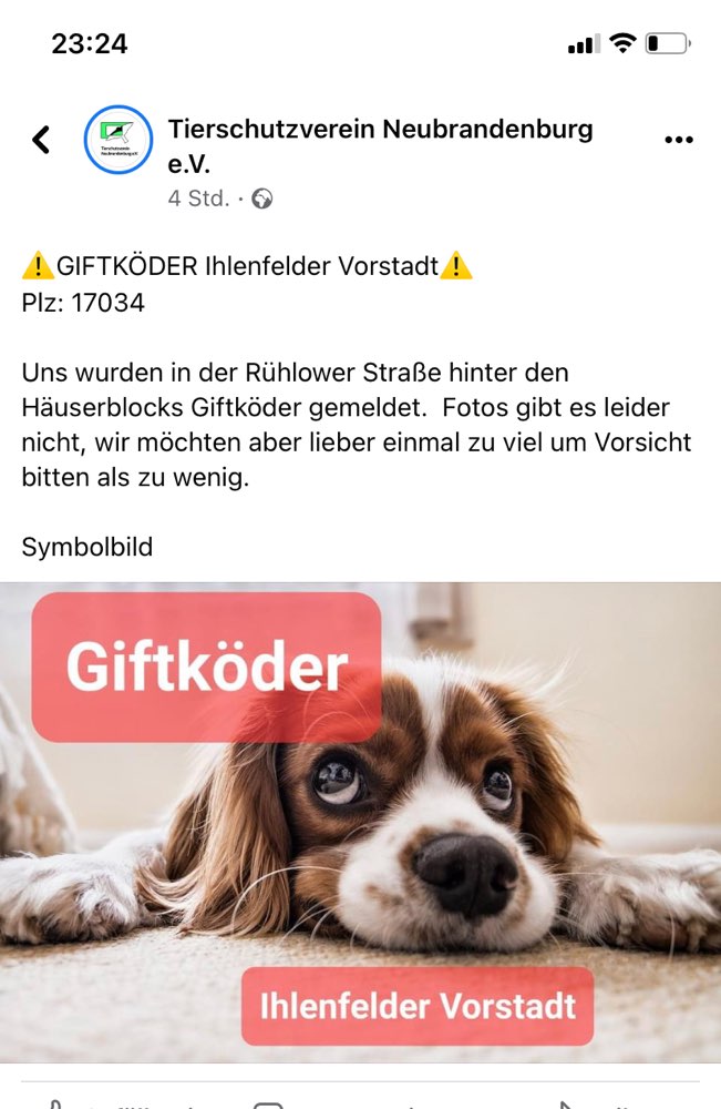 Giftköder-Giftköder-Profilbild