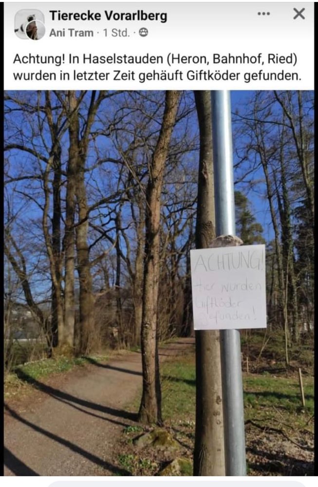 Giftköder-Vorarlberg Giftköder-Profilbild