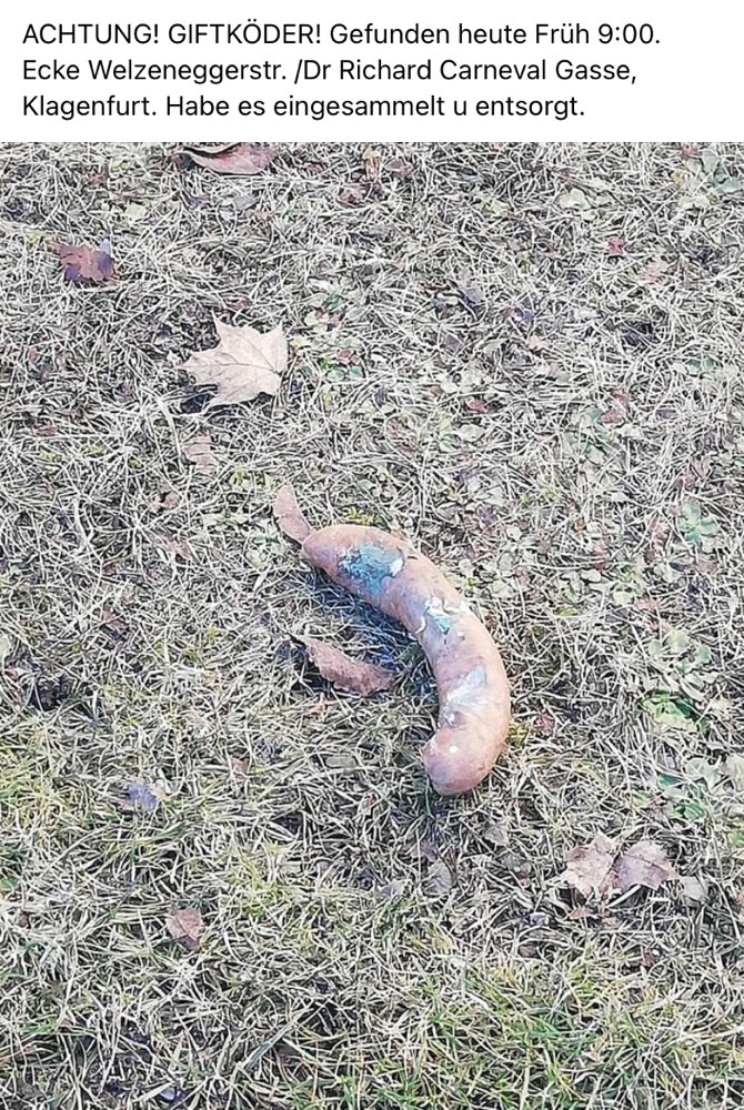 Giftköder-Giftköder-Profilbild