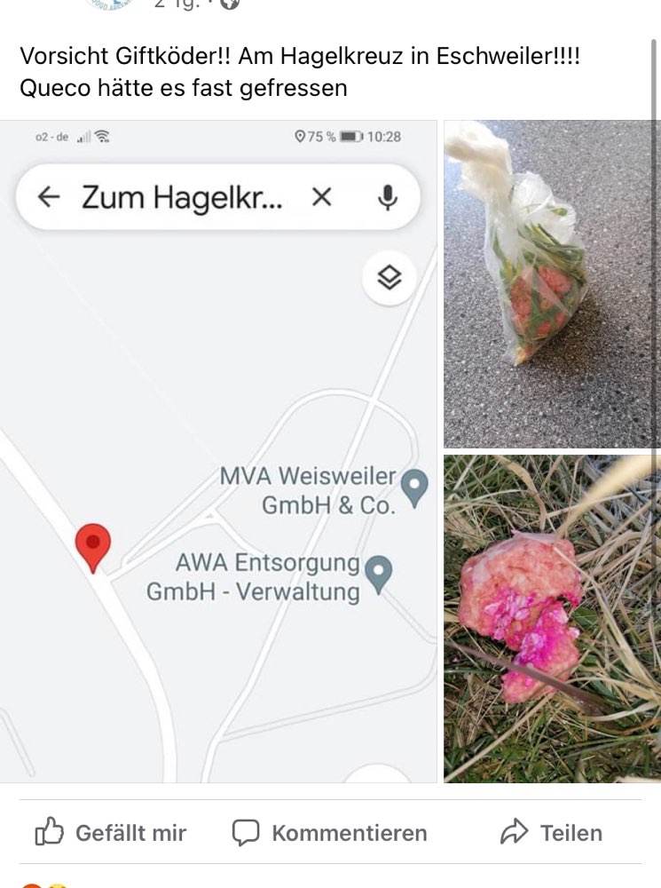 Giftköder-Giftköder-Profilbild