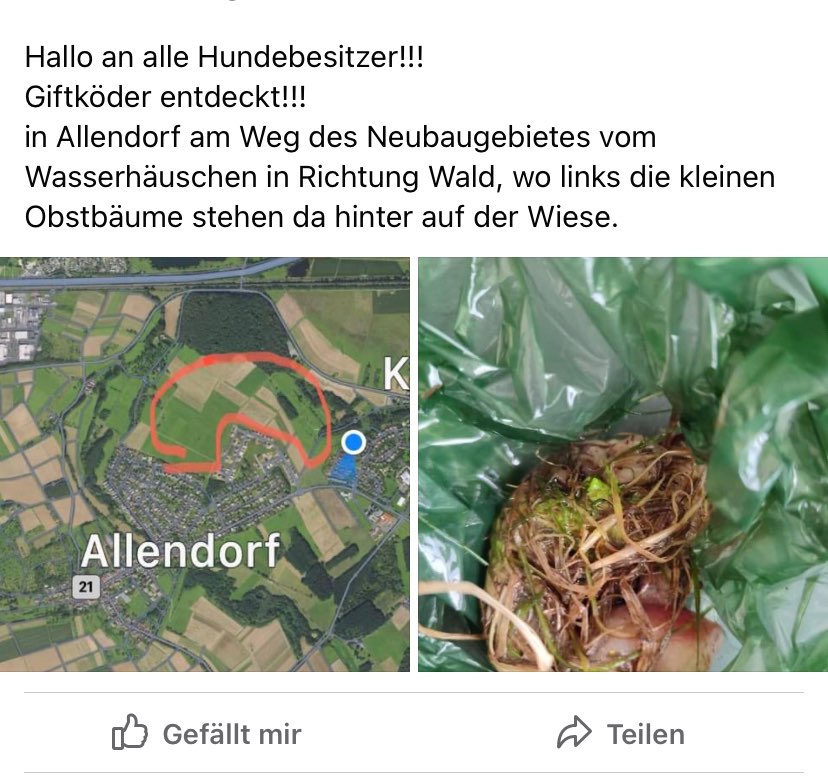 Giftköder-Giftköder-Profilbild