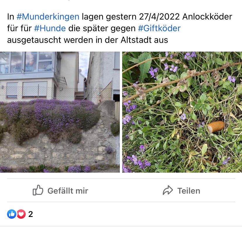 Giftköder-Giftköder-Profilbild