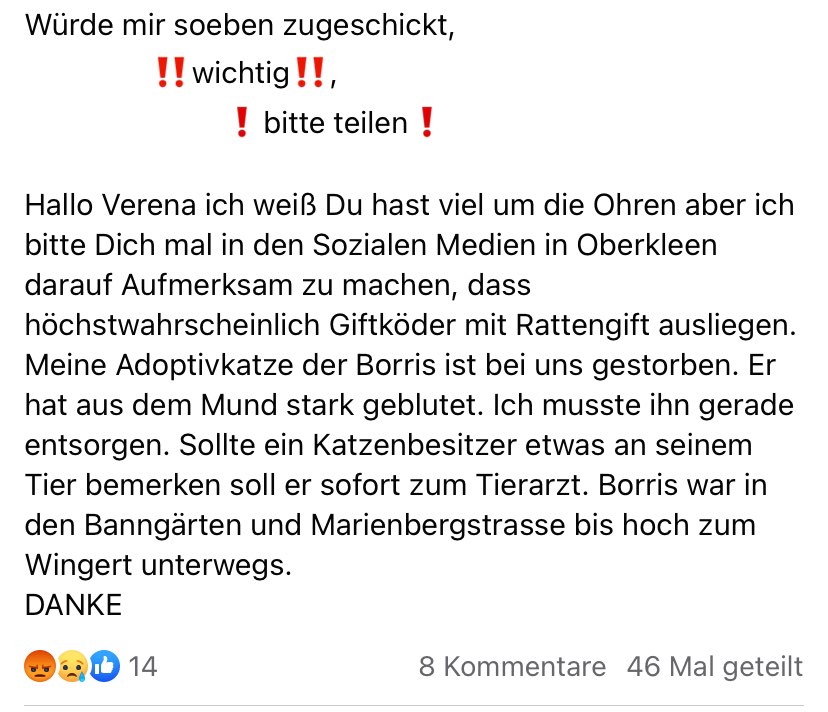 Giftköder-Giftköder-Profilbild