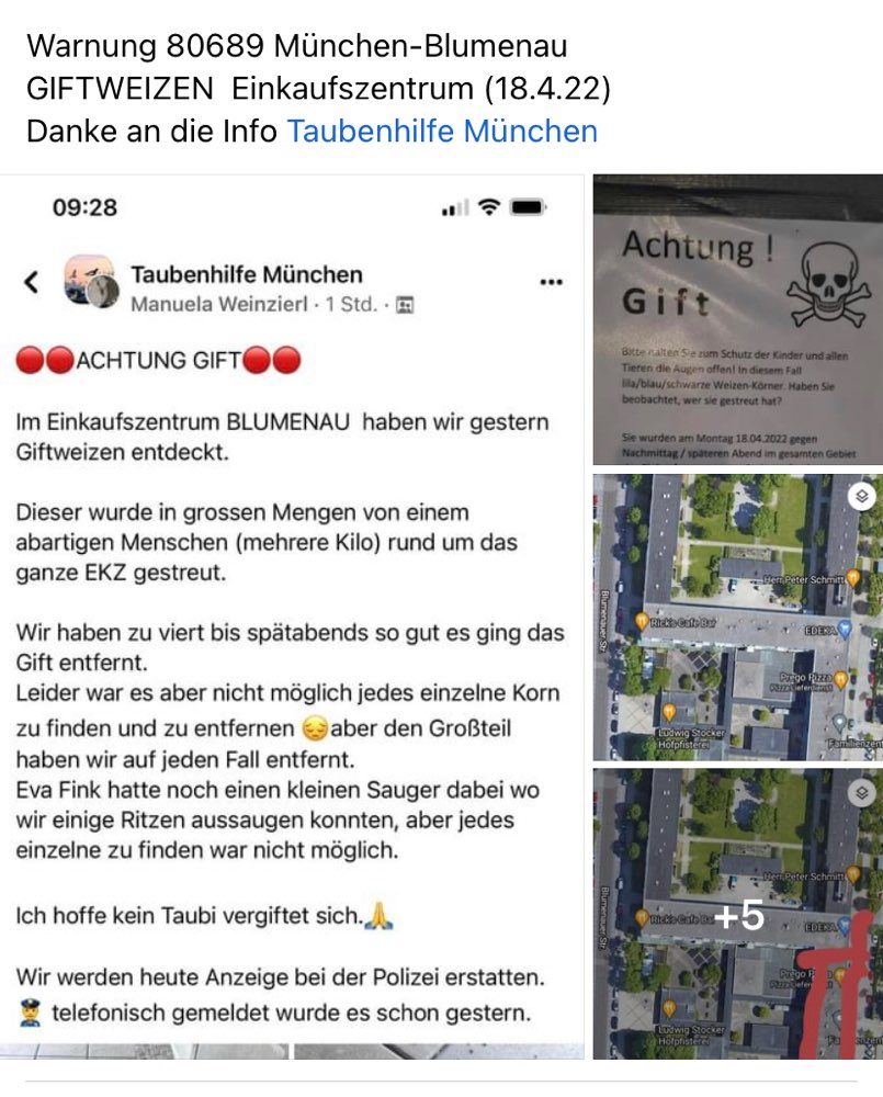 Giftköder-Gift-Profilbild