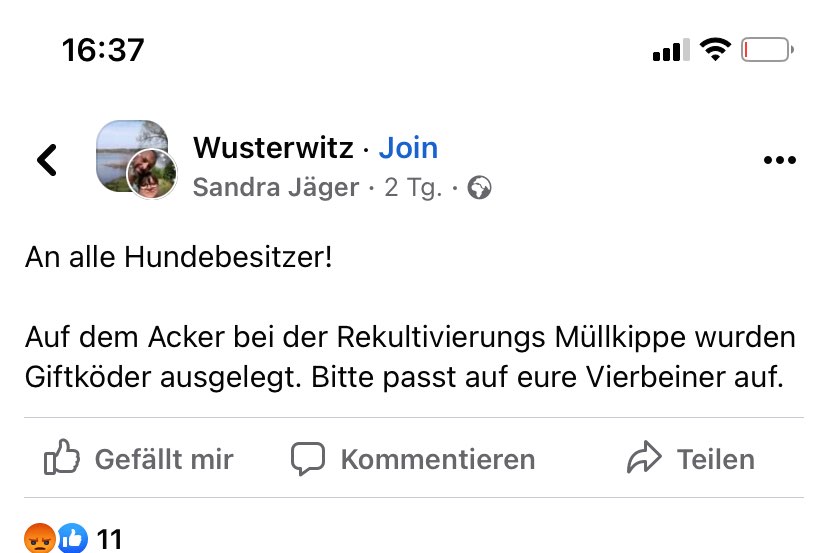 Giftköder-Giftköder-Profilbild