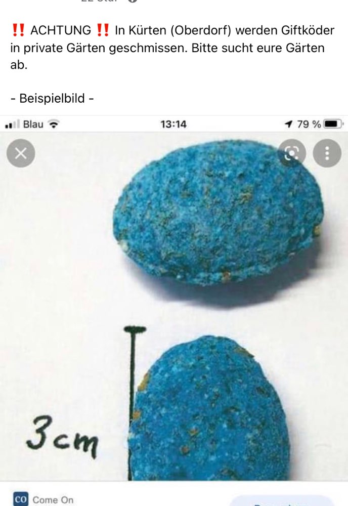 Giftköder-Giftköder-Profilbild