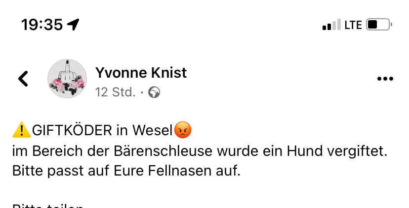 Giftköder-Giftköder-Profilbild