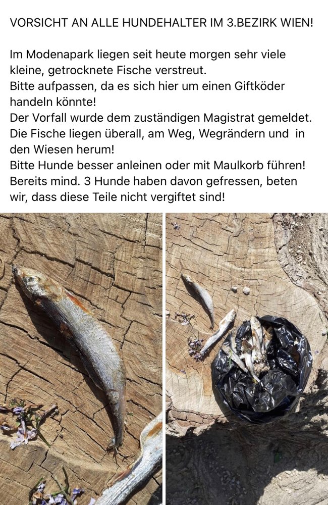 Giftköder-Getrocknete Fische-Profilbild