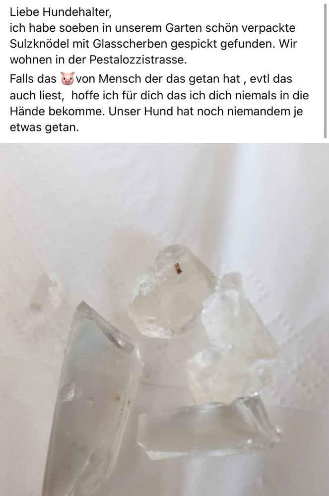 Giftköder-Köder mit Scherben-Profilbild