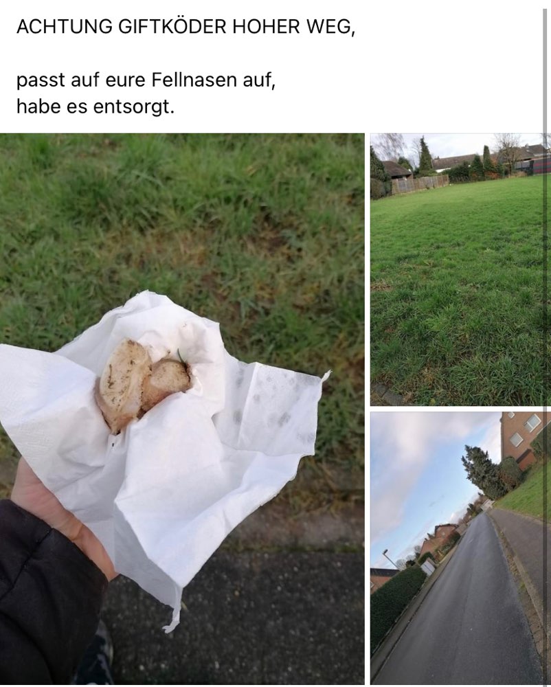 Giftköder-Giftköder hoher Weg-Profilbild