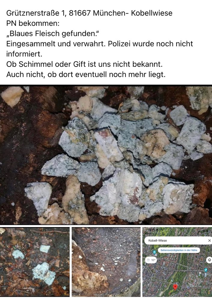 Giftköder-Blaues Fleisch-Profilbild