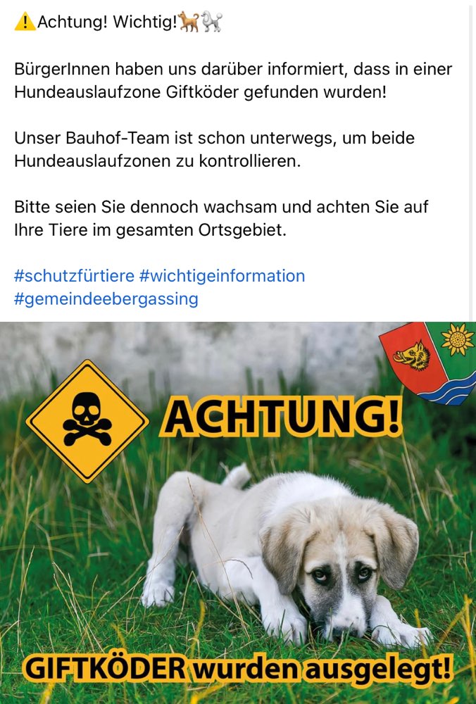 Giftköder-Giftköder-Profilbild