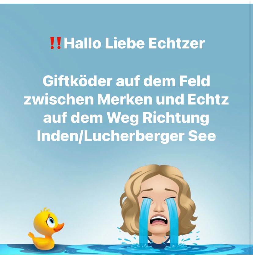 Giftköder-Giftköder zwischen Merken und Echtz-Profilbild