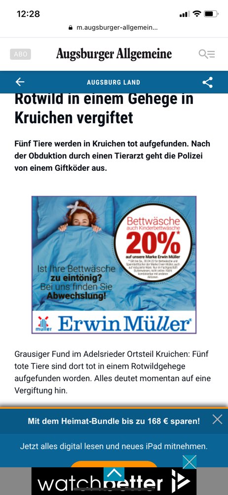 Giftköder-Giftköder-Profilbild
