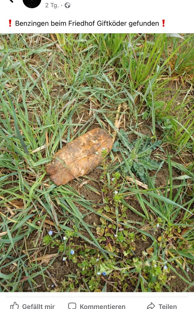 Giftköder-Eventuell Giftköder-Profilbild