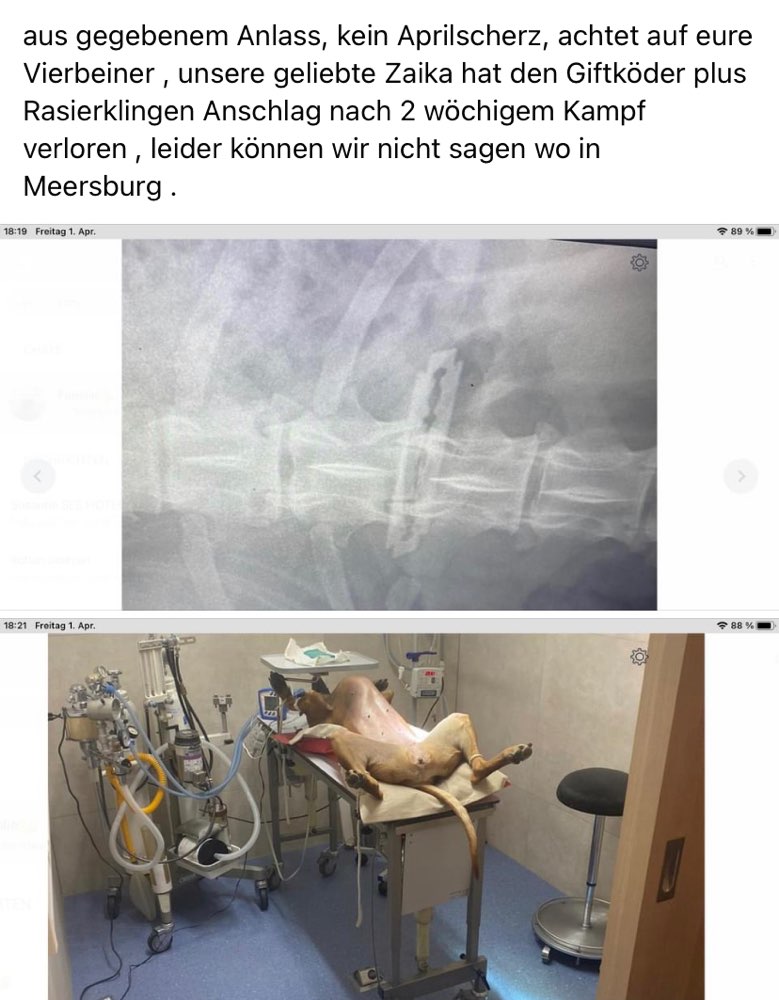 Giftköder-Giftköder-Profilbild