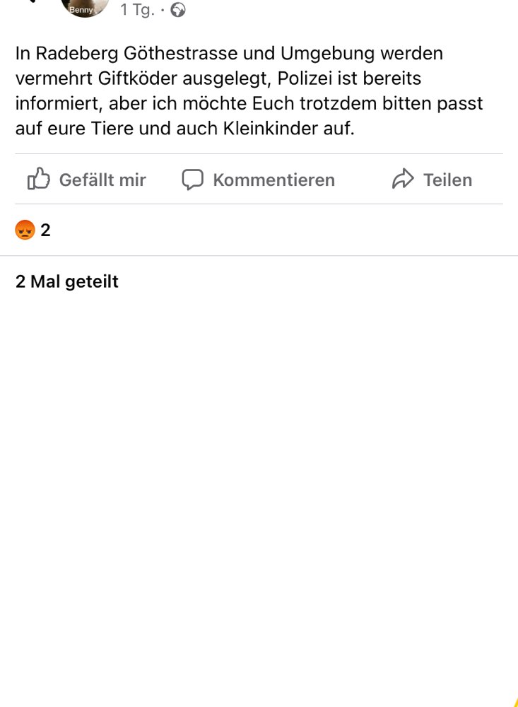 Giftköder-Giftköder-Profilbild