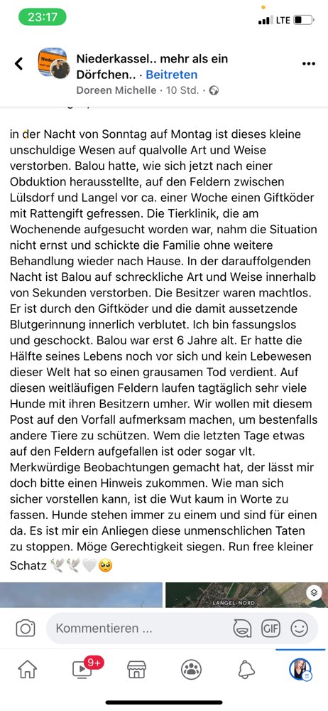 Giftköder-Giftköder Niederkasseln-Profilbild