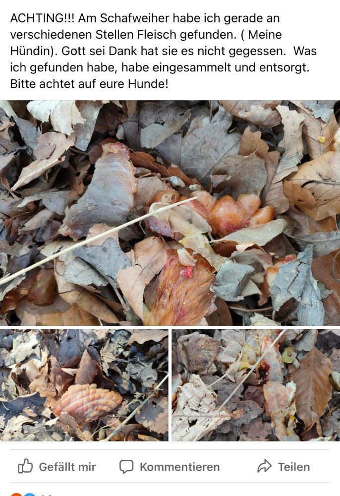Giftköder-Eventuell Köder-Profilbild