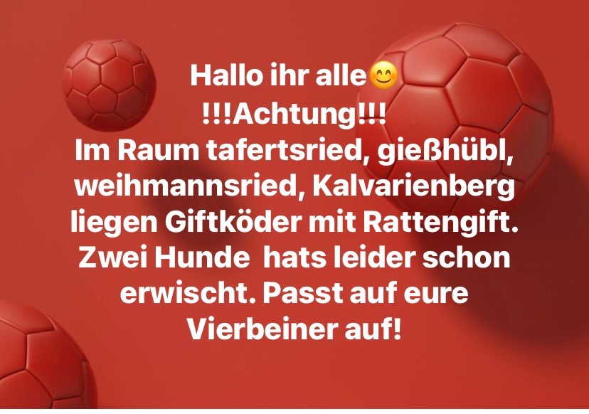 Giftköder-Giftköder mit Rattengift-Profilbild