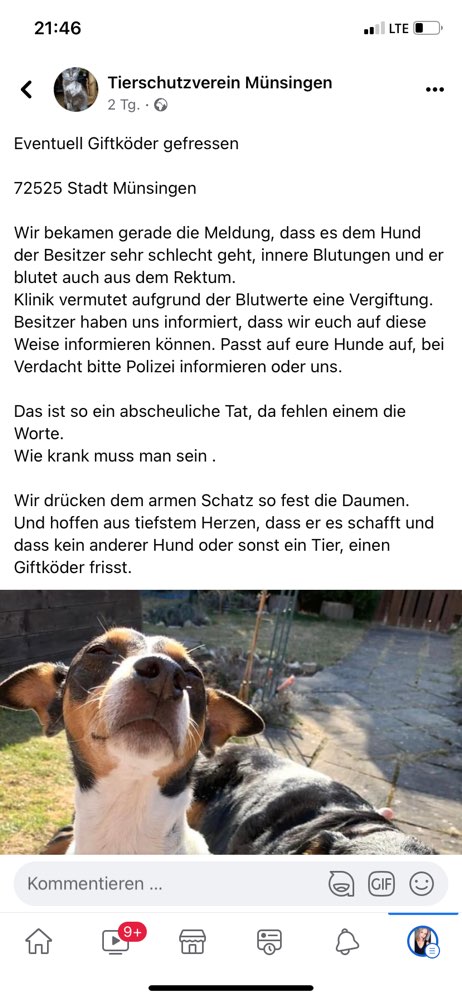Giftköder-Eventuell Giftköder-Profilbild