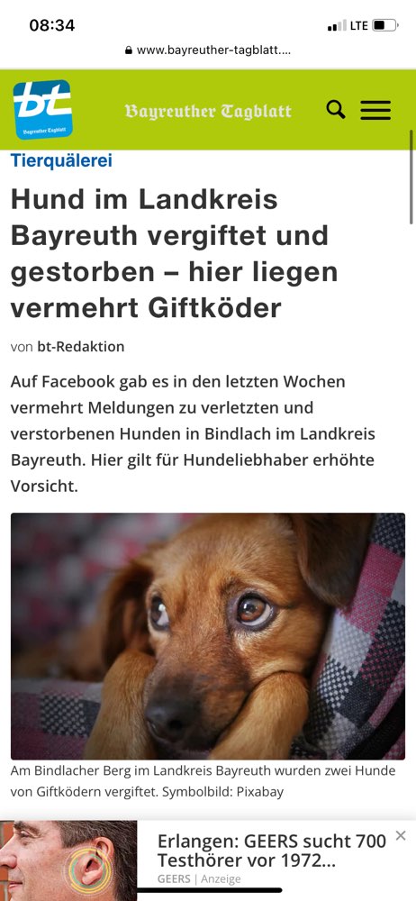 Giftköder-Giftköder-Profilbild
