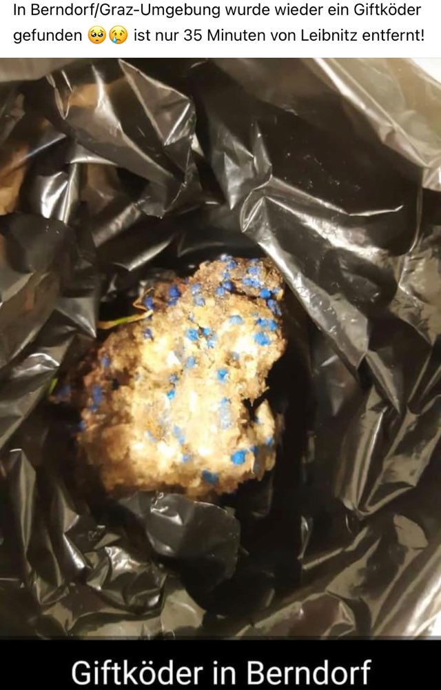 Giftköder-Wieder Giftköder-Profilbild