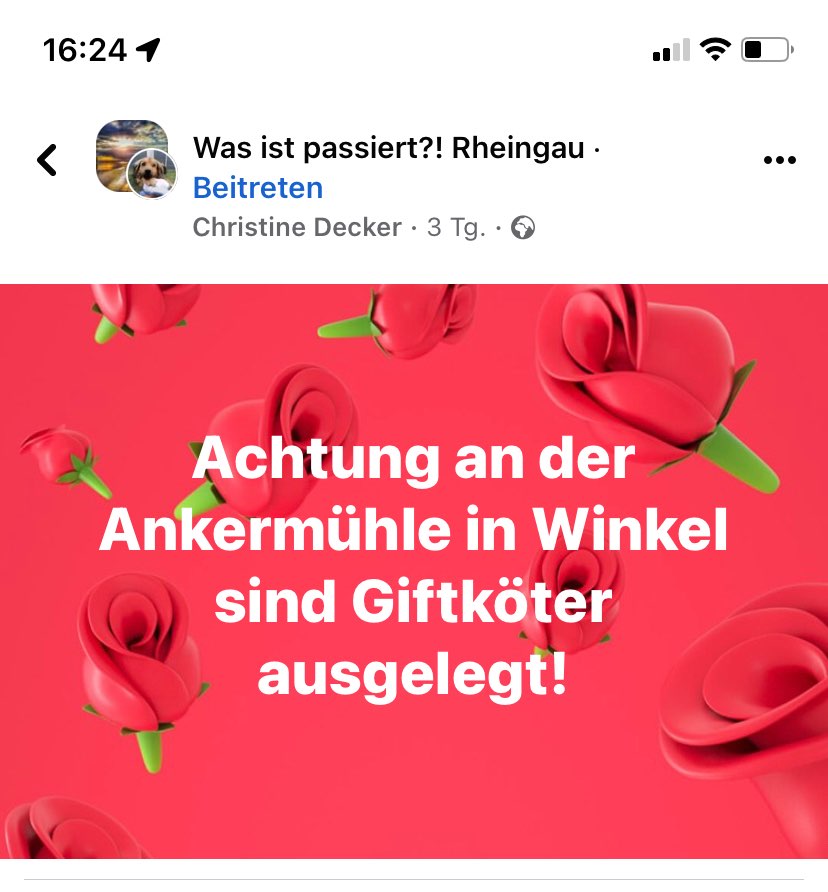 Giftköder-Giftköder-Profilbild