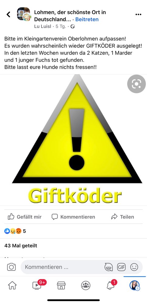 Giftköder-Giftköder-Profilbild