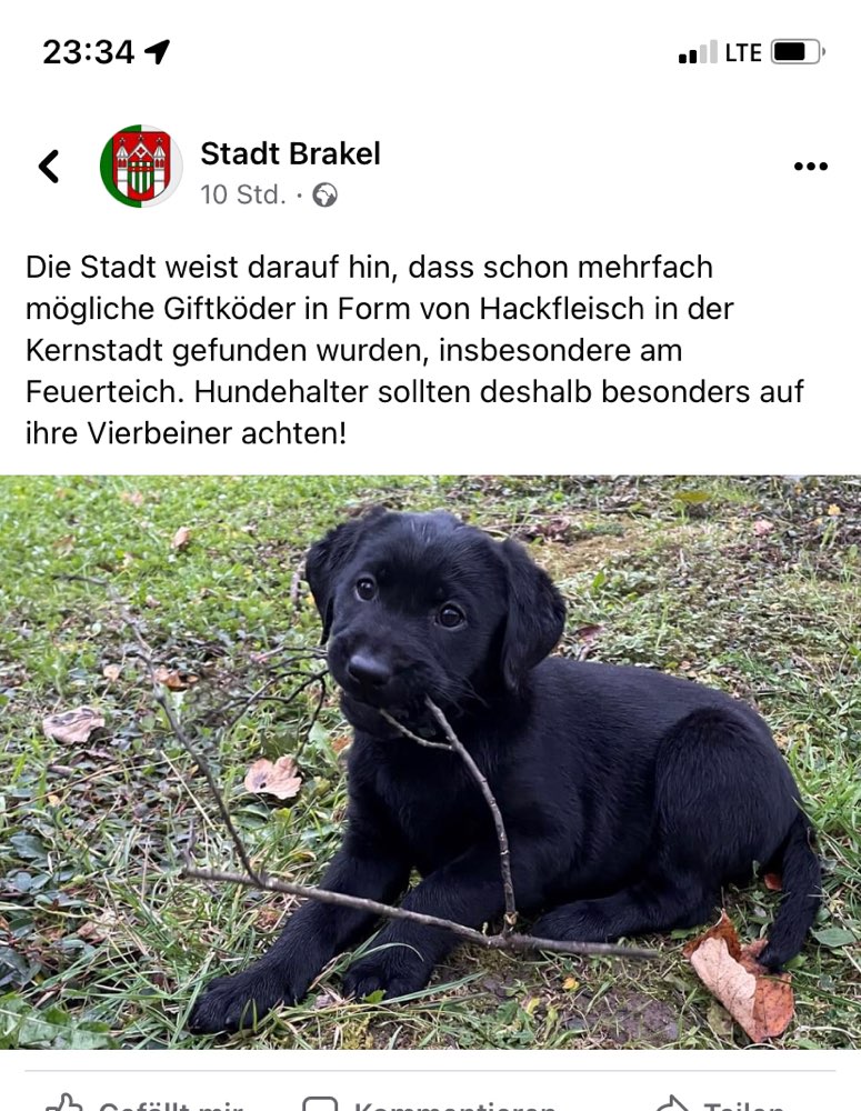 Giftköder-Giftköder-Profilbild