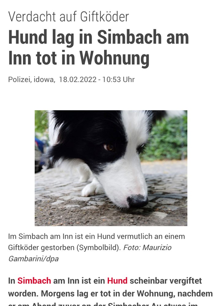 Giftköder-Vermutlich Giftköder-Profilbild