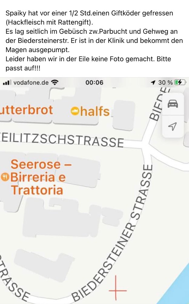 Giftköder-Giftköder-Profilbild