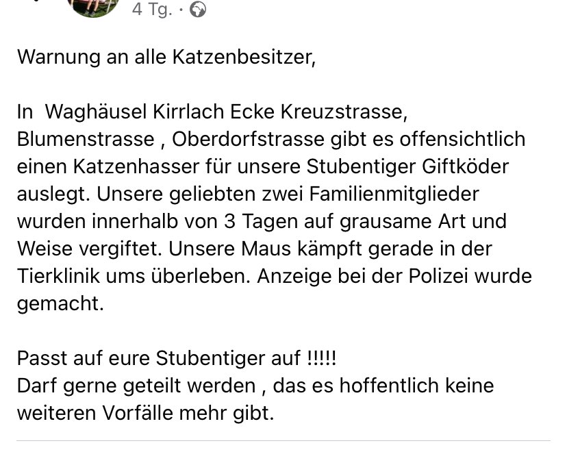 Giftköder-Giftköder-Profilbild