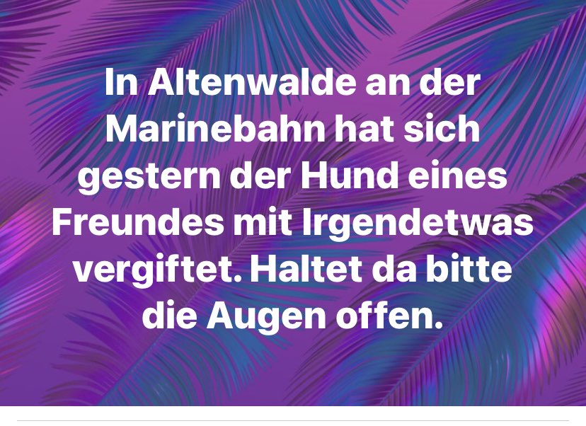 Giftköder-Eventuell Gift-Profilbild