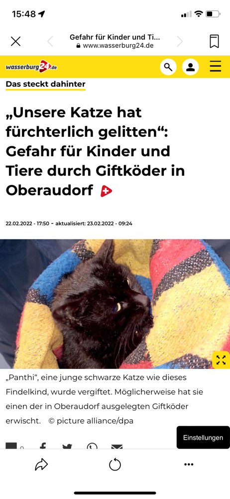 Giftköder-Giftköder-Profilbild