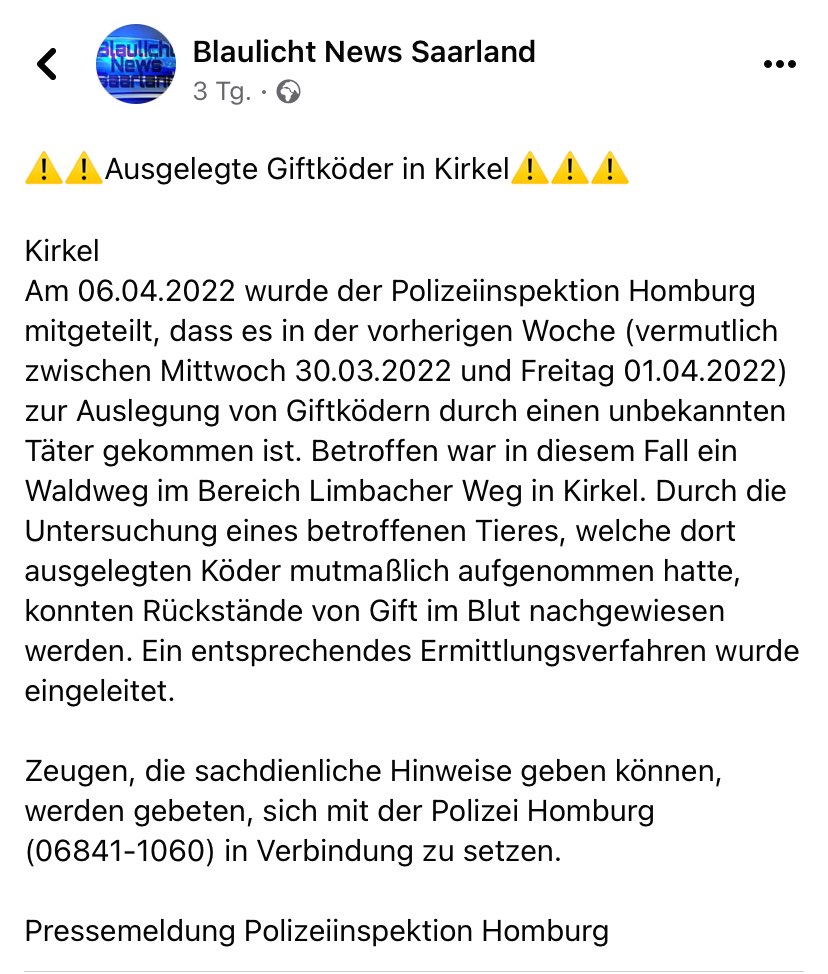 Giftköder-Giftköder-Profilbild