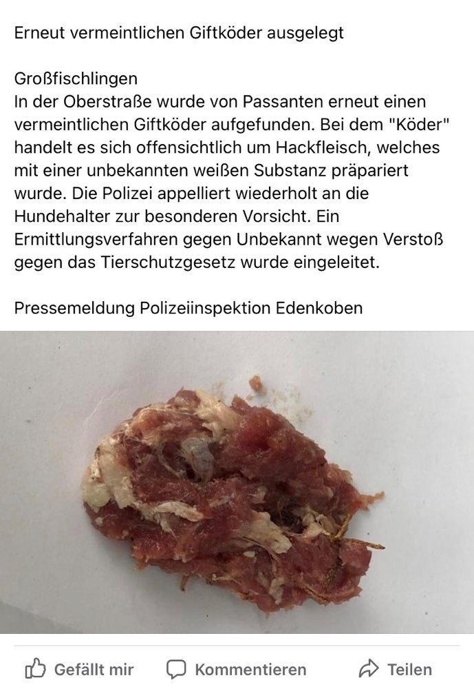Giftköder-Giftköder-Profilbild