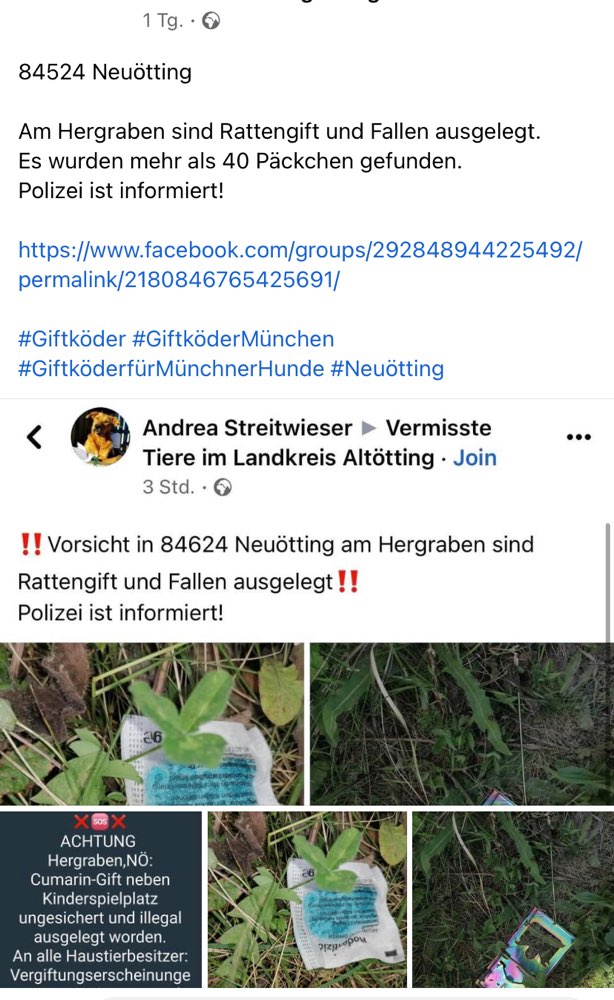 Giftköder-Rattengift-Profilbild