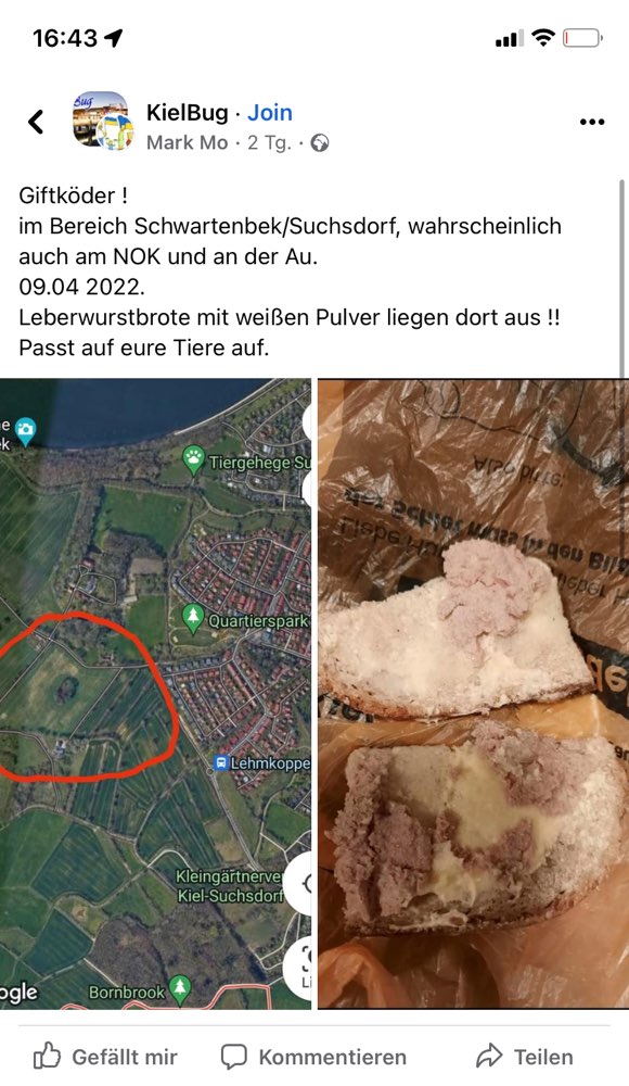 Giftköder-Leberwurstbrot mit Pulver-Profilbild
