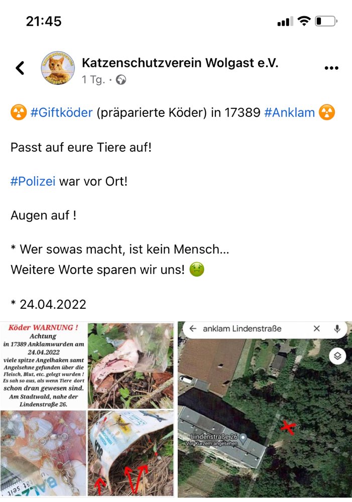 Giftköder-Giftköder-Profilbild