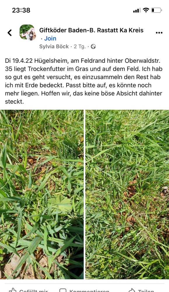 Giftköder-Trockenfutter verstreut-Profilbild