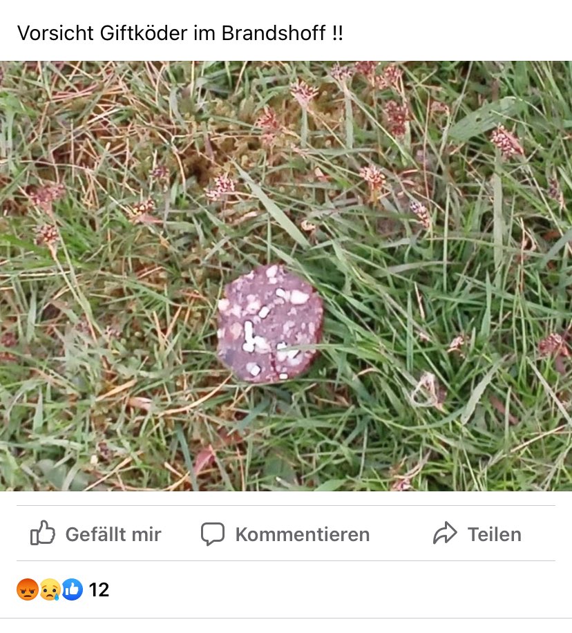 Giftköder-Giftköder-Profilbild