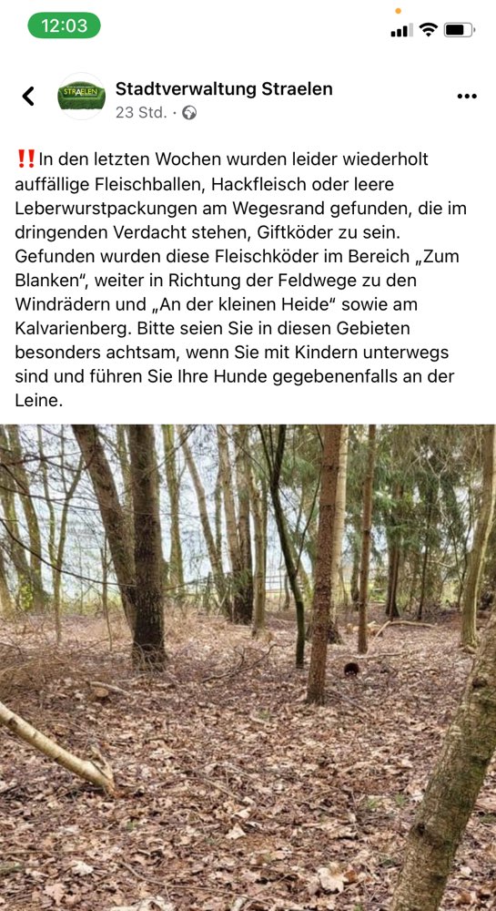 Giftköder-Giftköder-Profilbild