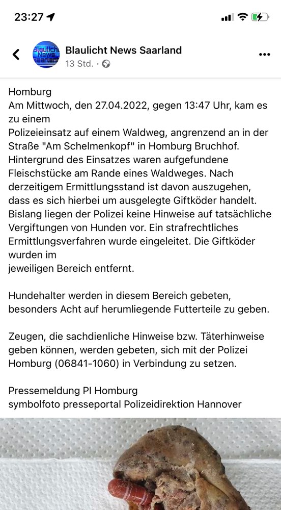 Giftköder-Giftköder-Profilbild