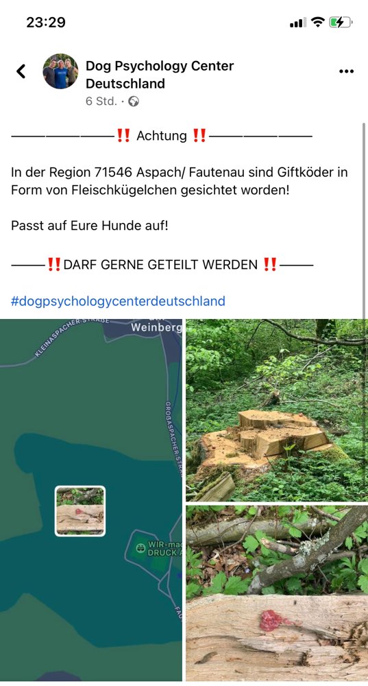 Giftköder-Giftköder-Profilbild