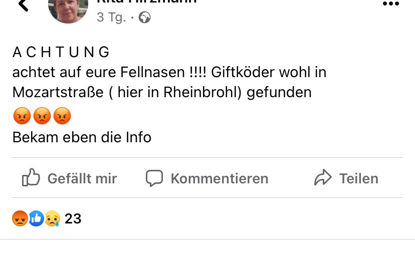 Giftköder-Giftköder-Profilbild